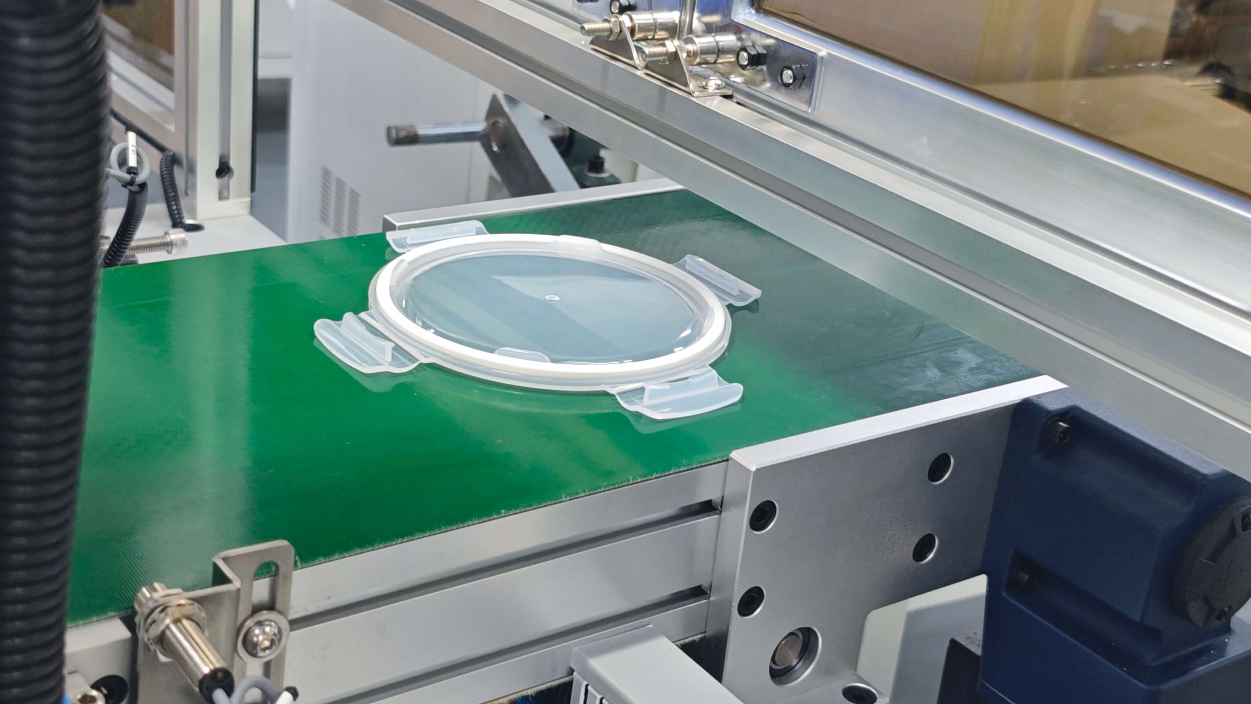 lunch box lids output 